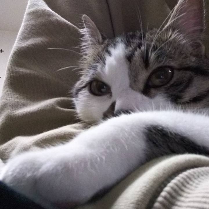 864c33e0 2f6b 4f45 bb64 6496898ae313 1617438240121