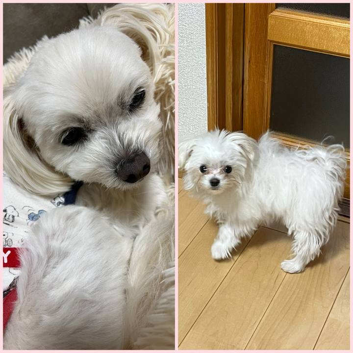 864c3a1e e994 4f13 891a 60a7c07071cb 1705664795931