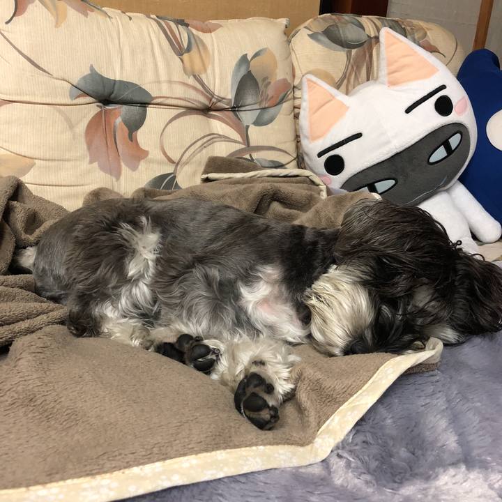 864c48b8 d99b 44ca 92ce 9f67ee88ead1 1511870886609