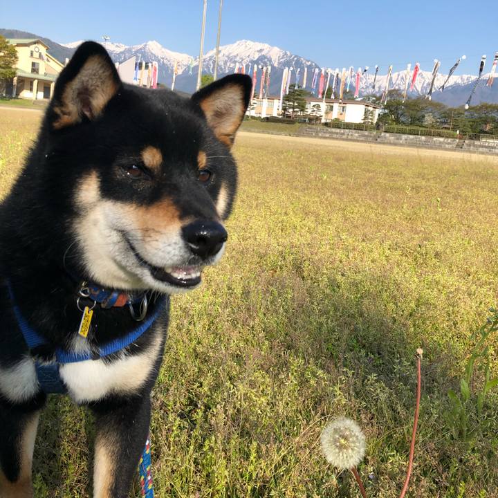 864ca05e b217 480a 9b25 2905f847a92c 1557575500398