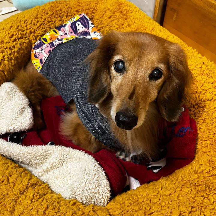 864ca429 3110 438f 840a e31194aa5672 1670506477201