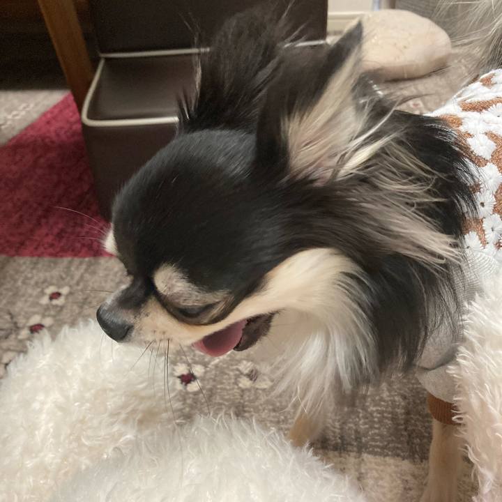 864ca5f8 6fd4 48fc bbed 93f15dd75e5d 1613040838492