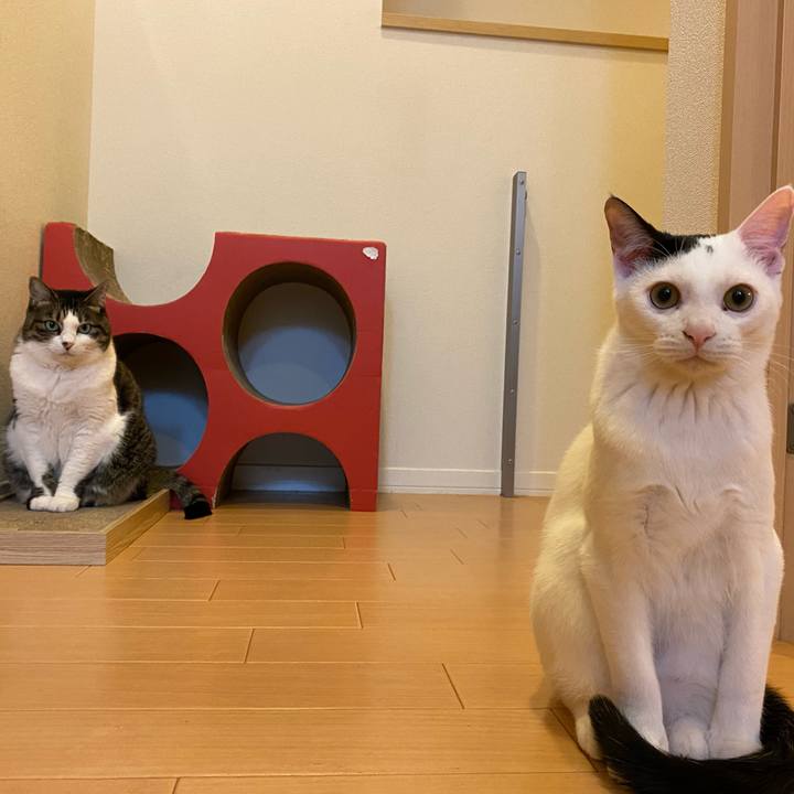 864cb554 a773 4a63 94f0 e1fea19375fb 1672238821831