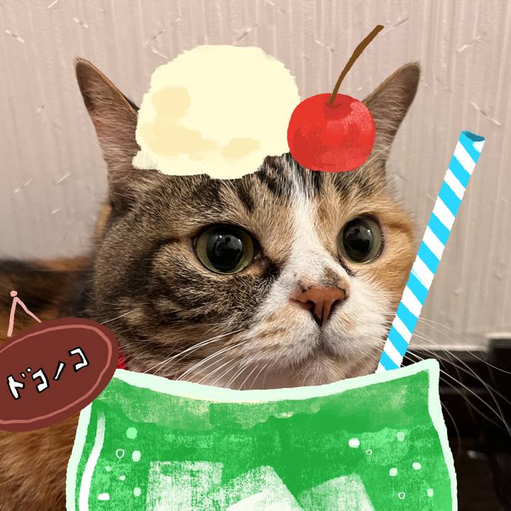 864cf907 4bee 45d4 b2fe 943a8c8f88cb 1755266683736