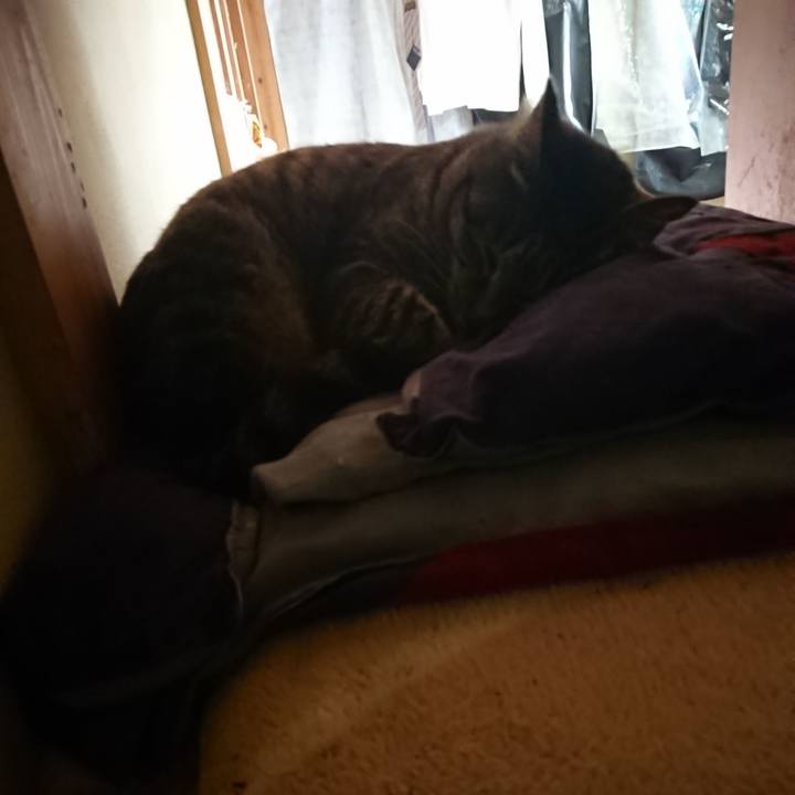 864d1f8f 3a8e 4520 8a46 002f54a5f013 1651630998004