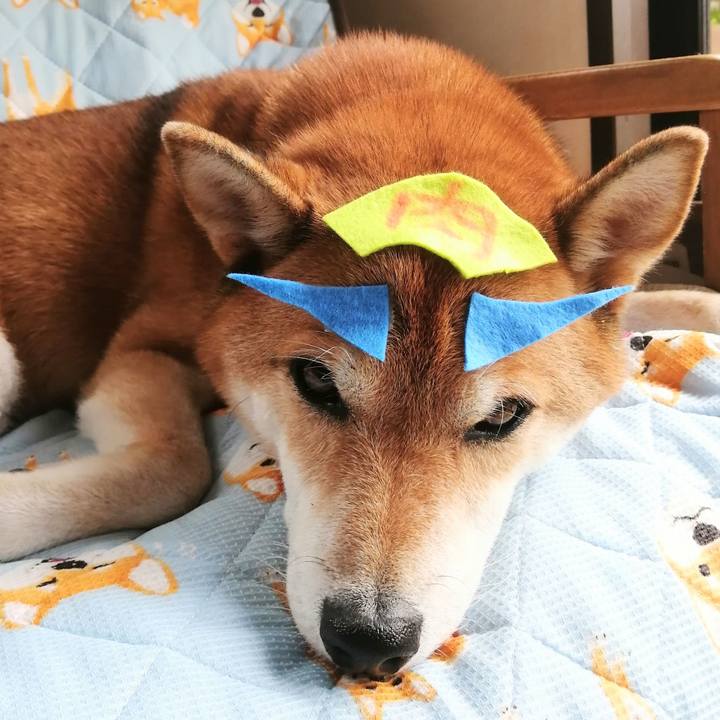 864d265b a2a6 4ef0 941e a38ae880875f 1630198908613