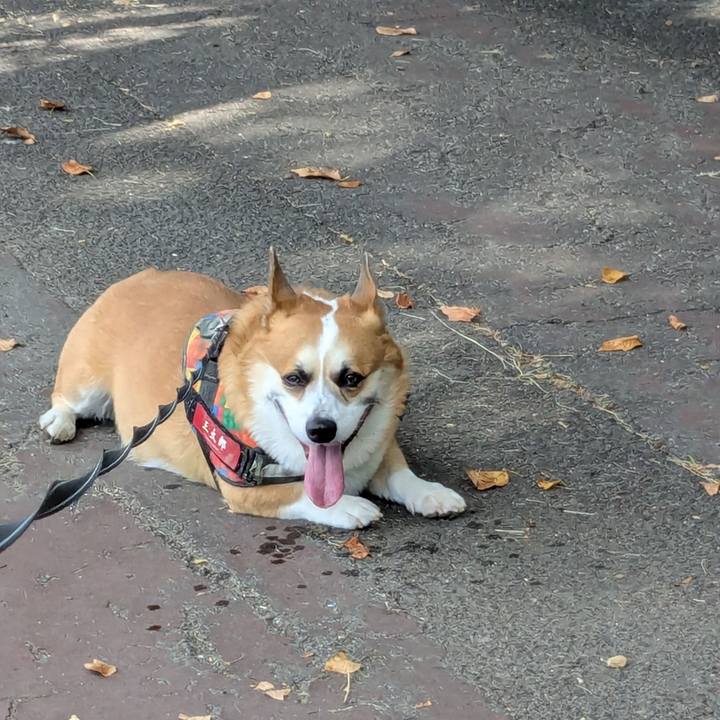 864d93ff 7a57 4f16 a78f f41b7238ebf9 1757794955055