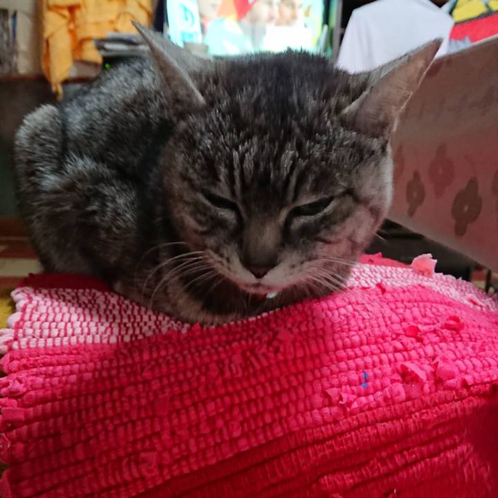 864dcb59 f6d6 49c1 8edd 3cc9522a7c82 1553289432712