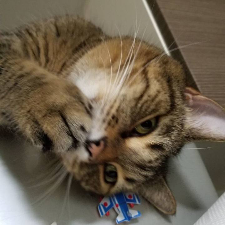 864ddb8b 59de 42ee a045 ee30705f2c0d 1567211714052