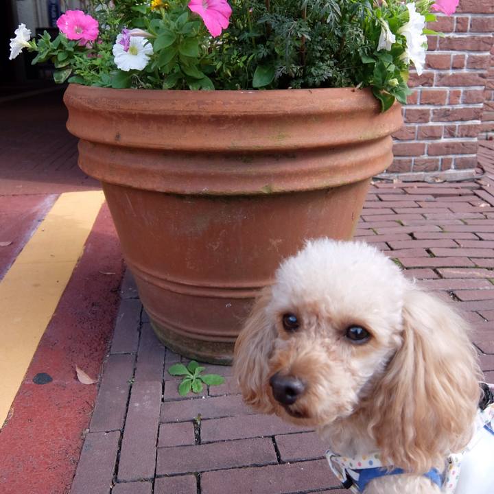 864dee3d 9e3c 4725 a62d db511130aa98 1546149020070