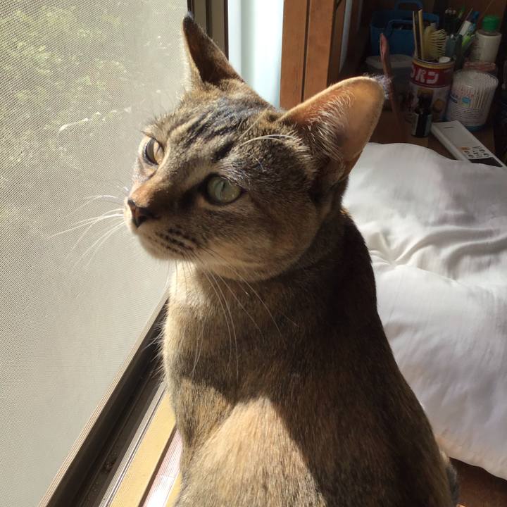 864df739 08f5 491e 9e0f 4338c6c5699f 1584665463630