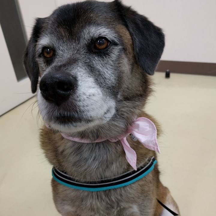 864e0f44 206d 4870 911a 060471f73d1c 1510126513821