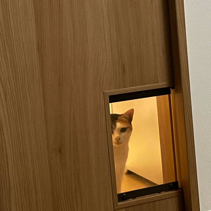 864e6d2d 8c41 450a bae3 b92ec8c98f2a 1660582973848