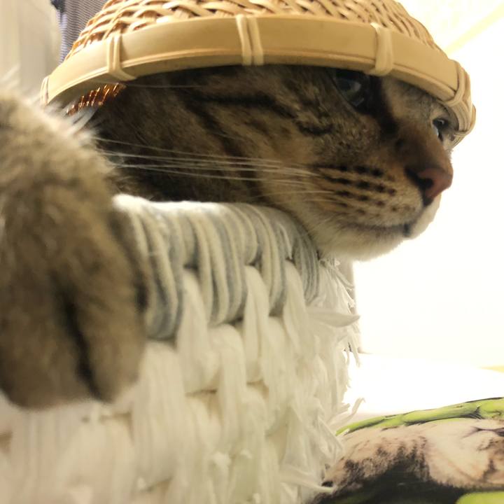 864e7f7e b37b 4191 bfc1 a51a4a787174 1629838794940