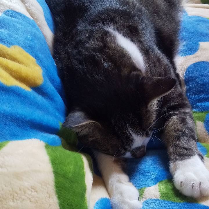 864e8f56 3662 496b a9ac 2de9cc4deb0e 1666483891111