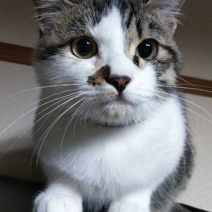 864ea09f 1eb6 4376 9fd0 7fbe38367eca 1613738339623