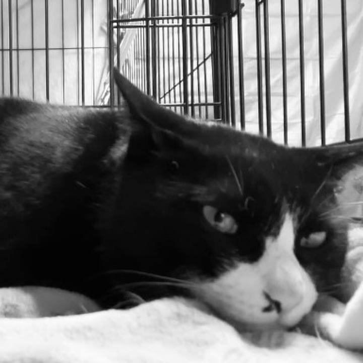 864eb933 6594 44aa a370 6660644361b4 1742895319888