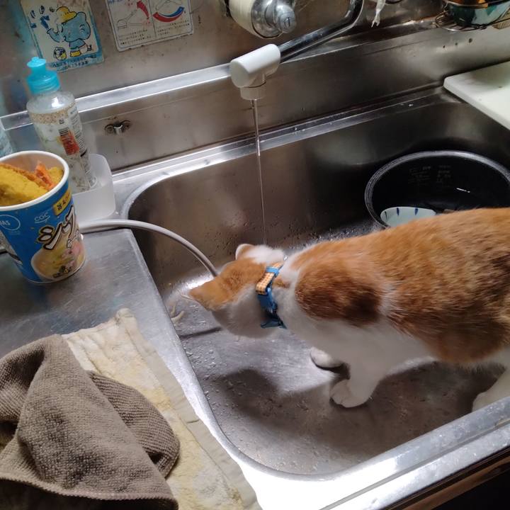 864ee86d c432 414c b77c fcf65b20bd62 1733439757593