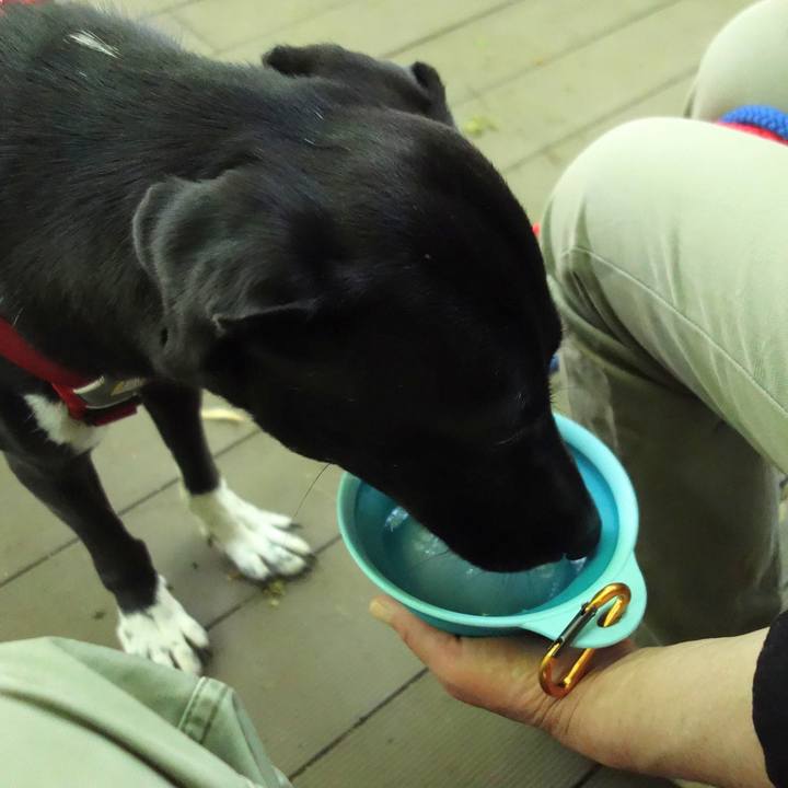 864f566e 11c8 4622 bea3 f4124190c6b2 1588468841336