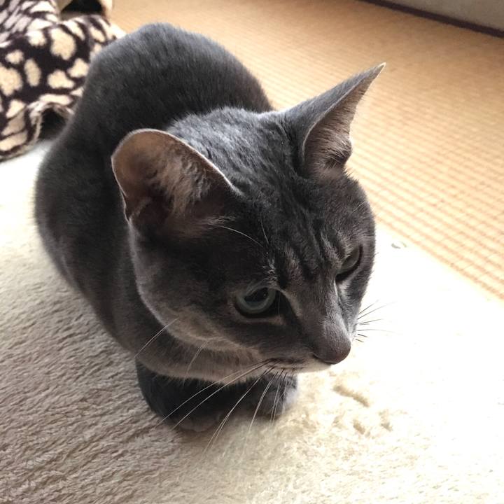 864f62f1 eb47 4065 9a22 33566778b809 1581815253706