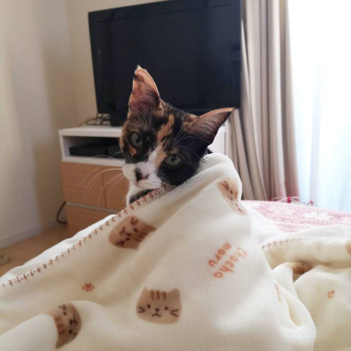 864f69df 3dbe 43d3 ac94 7f43b722afdb 1605861339748