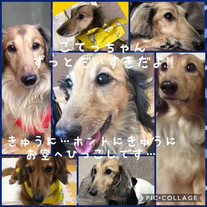 864f7841 af85 43ab 9f84 e2d13f3872b4 1528786919500