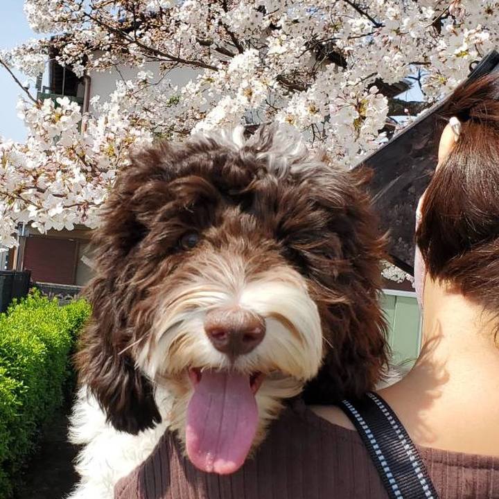 864f7e13 8c04 493b 84fb ddf235430e6b 1616816419944