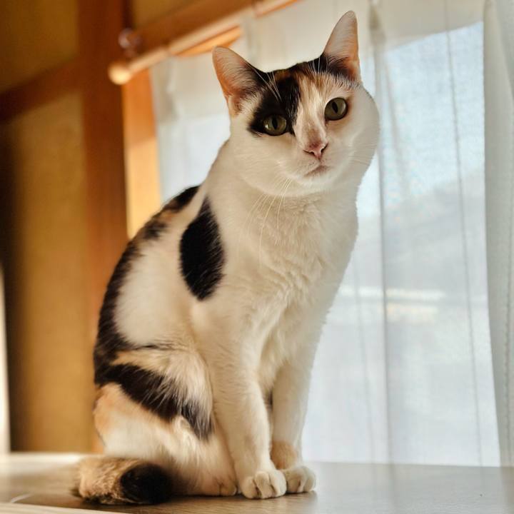 864fdbe6 d7ae 4127 afbb 3515ffa4349b 1705542946522