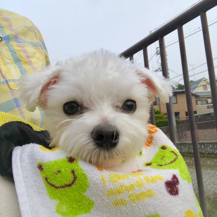 864ff448 e6d8 4dfd af46 fc6e9d94a0cb 1559433950424