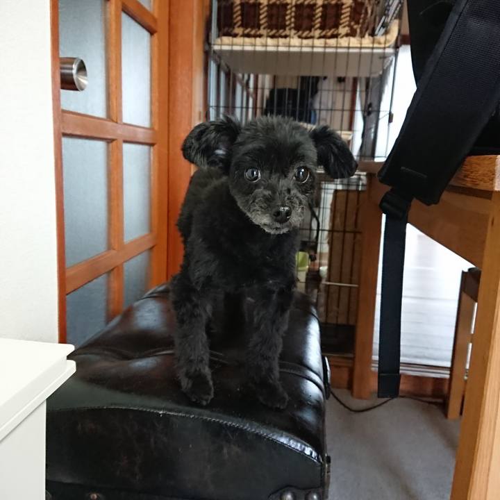 864ffe41 d46d 411a 8620 3ca6bd0681b8 1522882936965