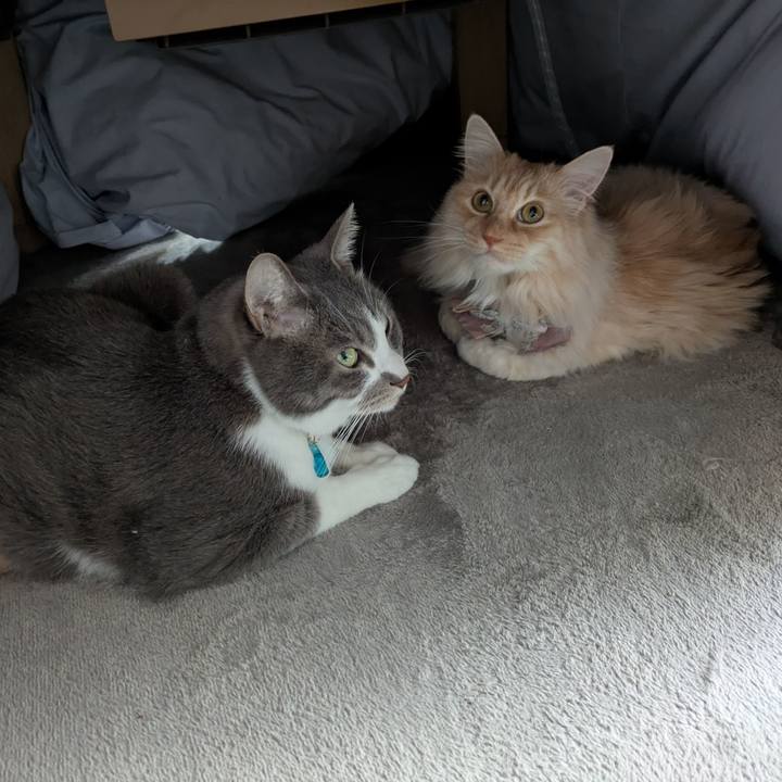 8650177f 91bf 4df6 84ff 1edeaad8005d 1741662319670