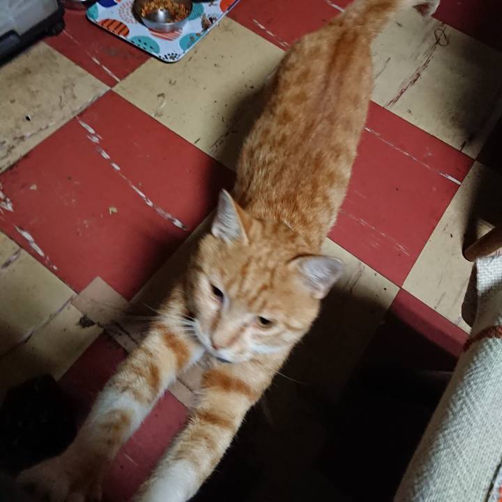 8650366d 4114 4810 ba63 06b27e31293e 1562873952366