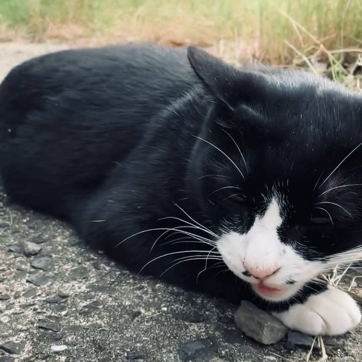 86504ed1 6597 4c7d 8beb 22f499d7bcc1 1730101562823