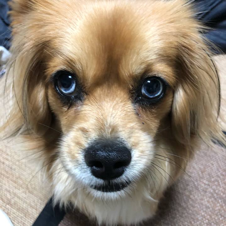 8650732c e1a7 4f72 a33d 72baa25c30a8 1556375815758