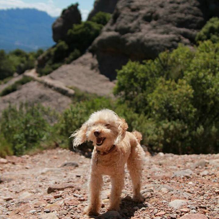 8650ba63 7563 4e84 b055 2abe7142f05a 1592158873232