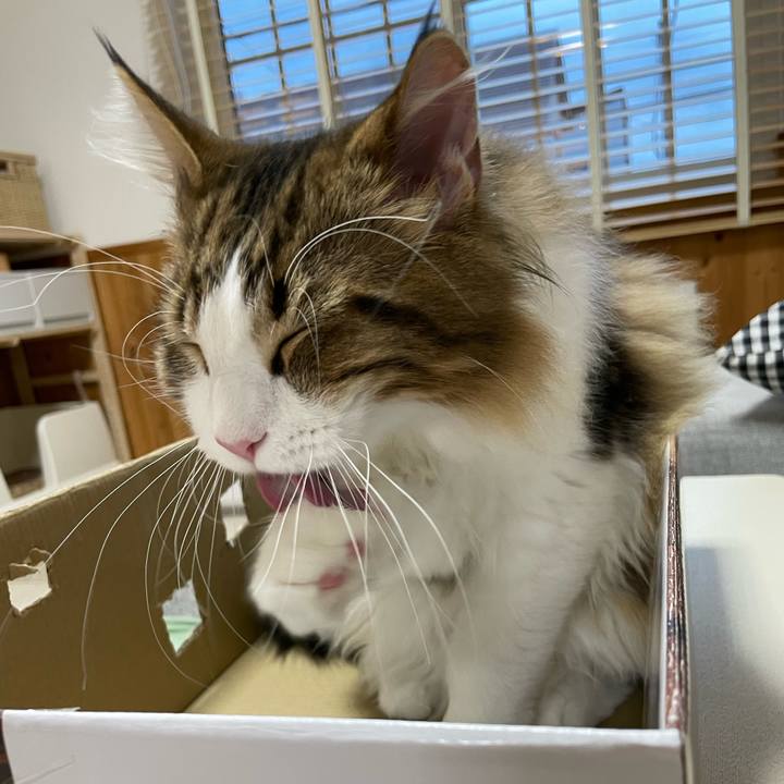 8650c61f 0ff8 4bc1 ab7a 18d75c0ca52a 1639292655260