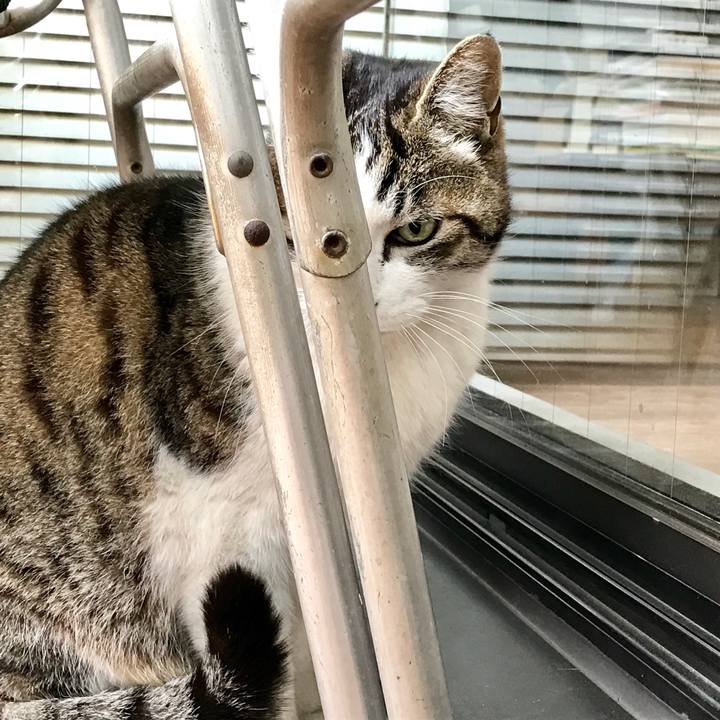 8650c814 c1f0 4111 8cc7 32efca664d74 1614477797421