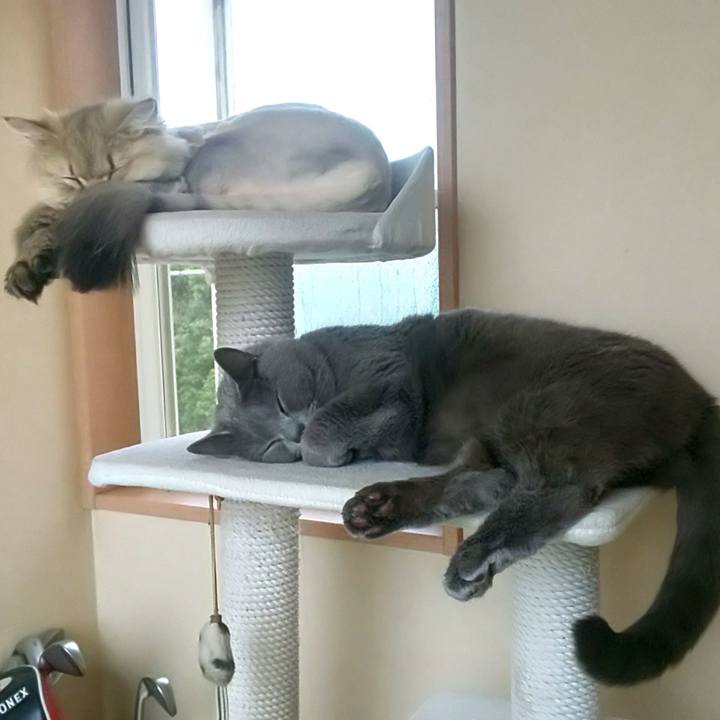 8650d5ec bb03 4ddd a8fb 3745bf6b840f 1590477192248