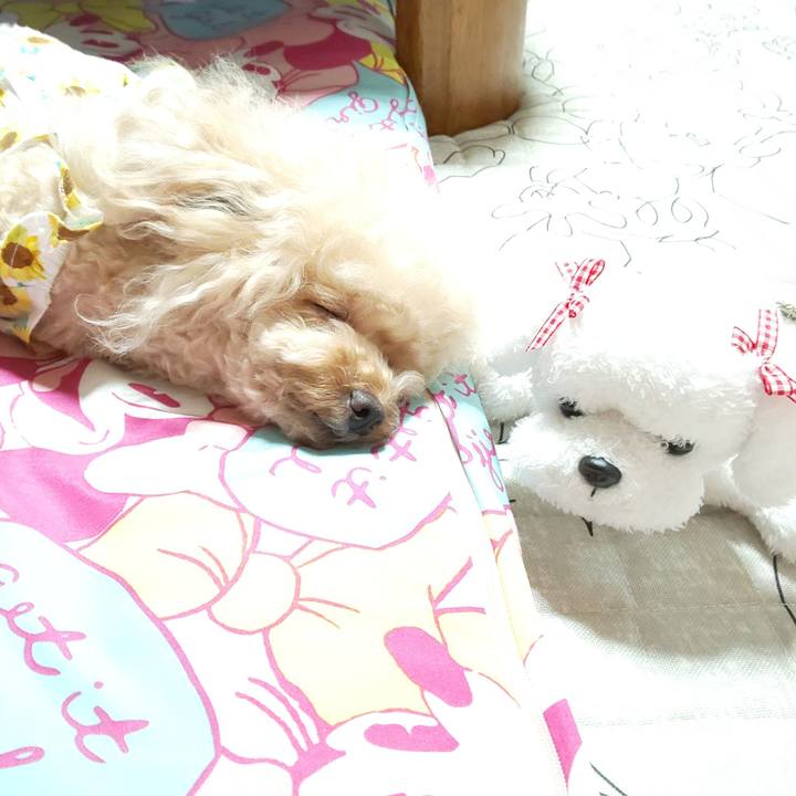 8650fe15 81cb 4c96 87bb d1447e2bf6ea 1567641981135