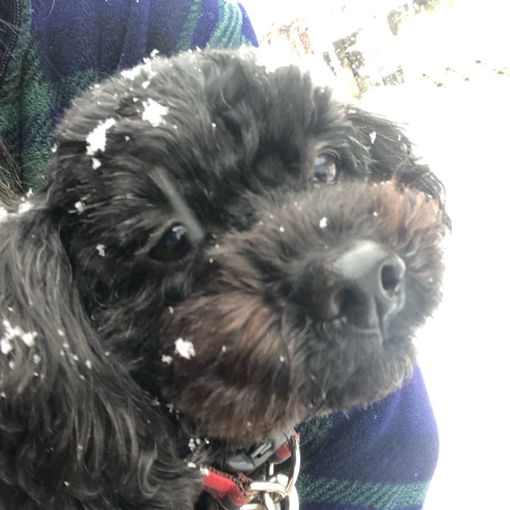 86512020 3ef2 4ed5 b85c c1286797559e 1586003250412