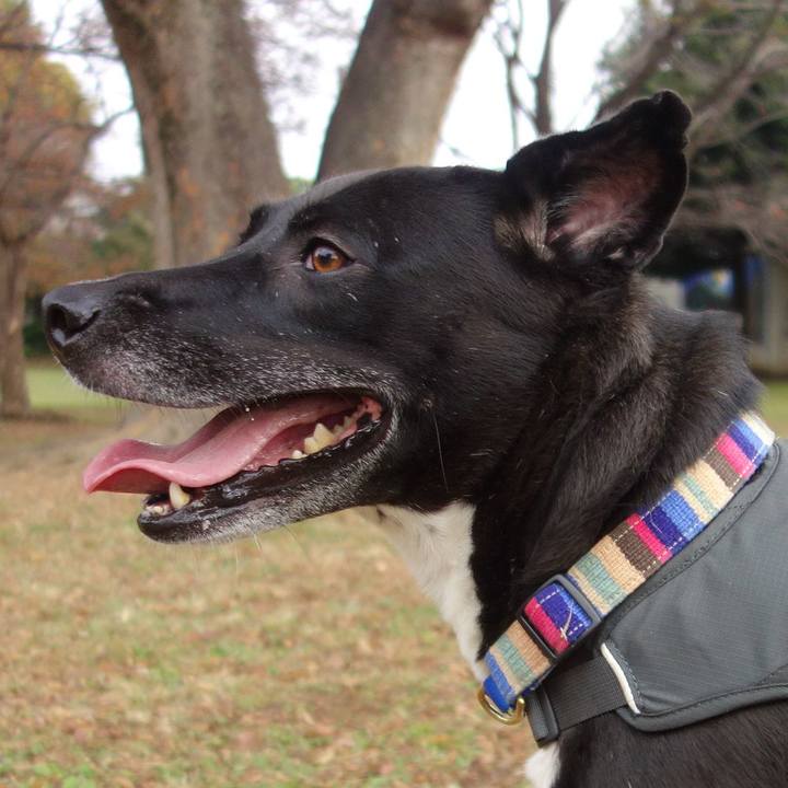 865133d9 368c 4b99 9ef0 b829bc79f429 1637456512211