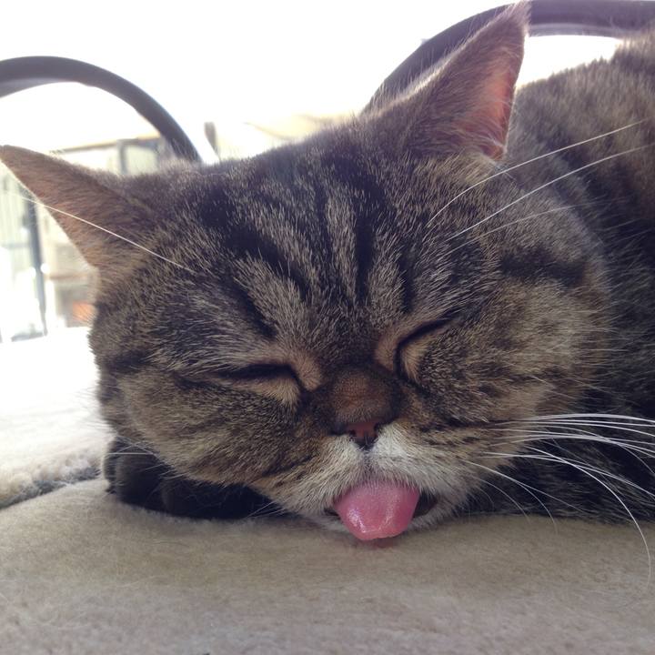 86513ee9 6ba2 40d3 b6d3 ef7613b66552 1519255353312