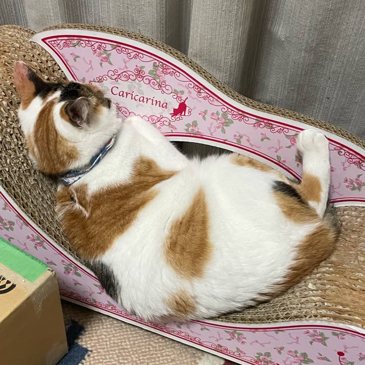 86514462 7eea 4928 b9e0 99995100c5bc 1693403843599