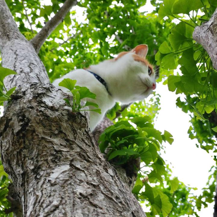 86519e6d 635d 453a 847e 5da5ab4c9071 1525603702320