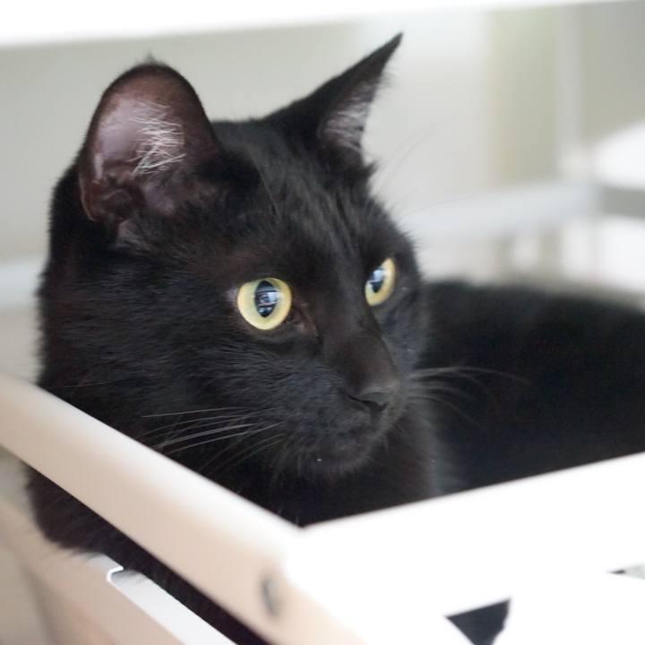 8651a637 820e 4893 bcc2 c15d65d0c09a 1555976009772