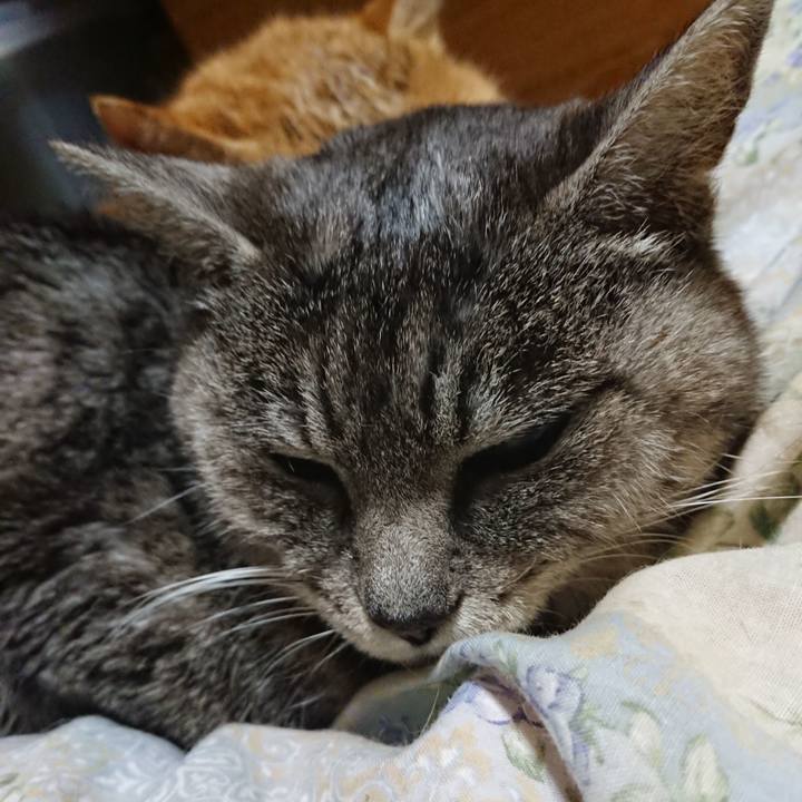 8651aeed a452 4320 bb8d 1a8b58dfd15b 1578487890611