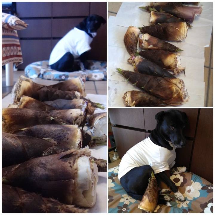 8651b1fe b9f2 4cbf 81fc 7be636235700 1617791679065