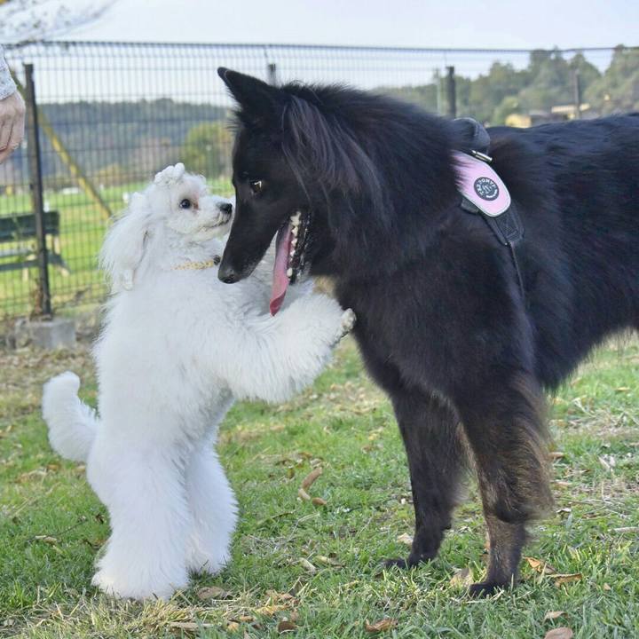 8651bb07 6ca7 46a0 a3cf 8b2baa3dab60 1509436682100