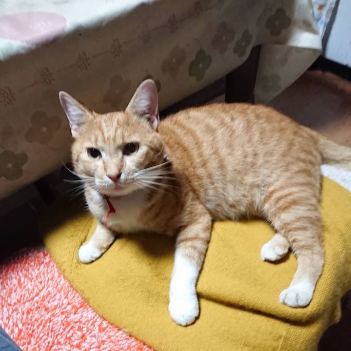 865200fc 57c1 4bd2 8b88 10aedec0bc8d 1570134981291