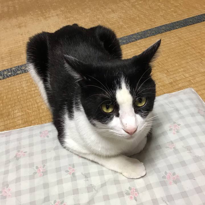 86522074 5c93 41d3 8edb ed25064f2f40 1726476434316